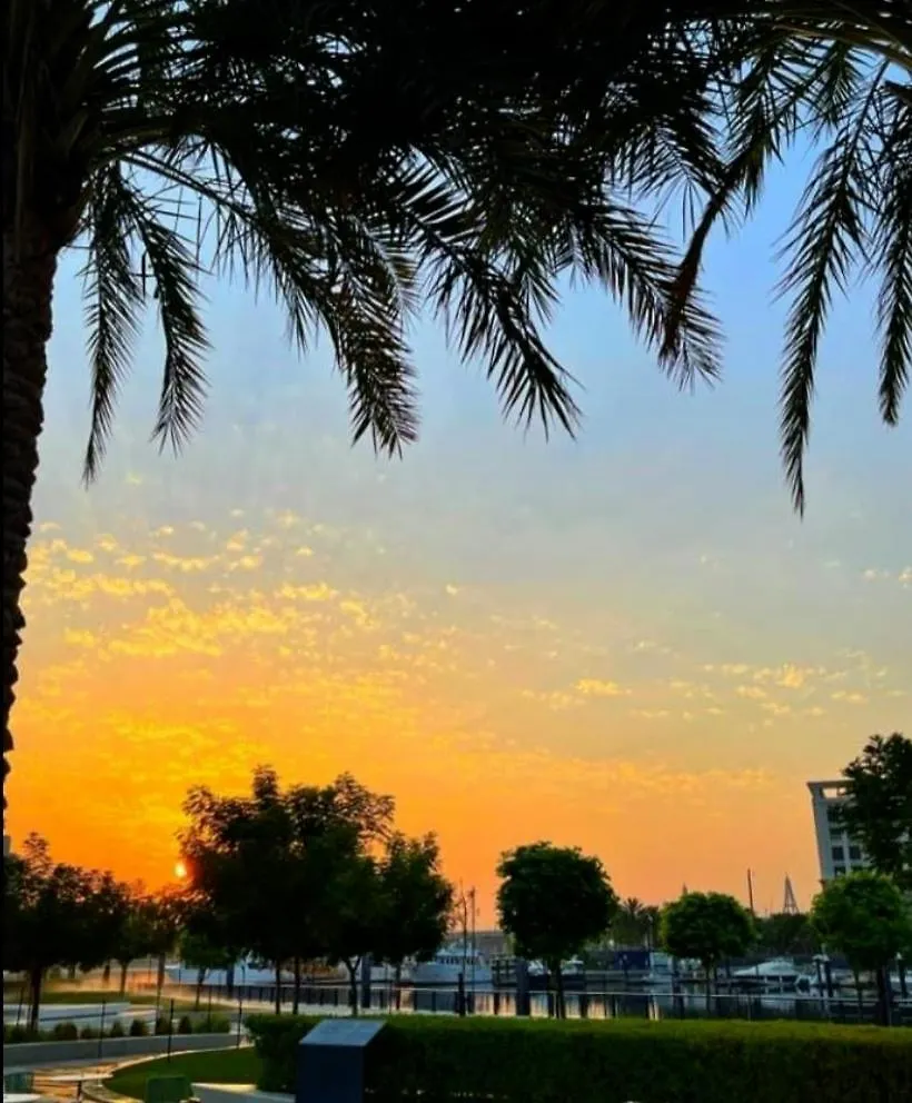 Chic 1Br Iris Amber Al Jaddaf Apartment Dubai